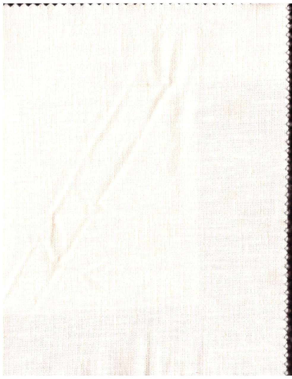 Shade 17 