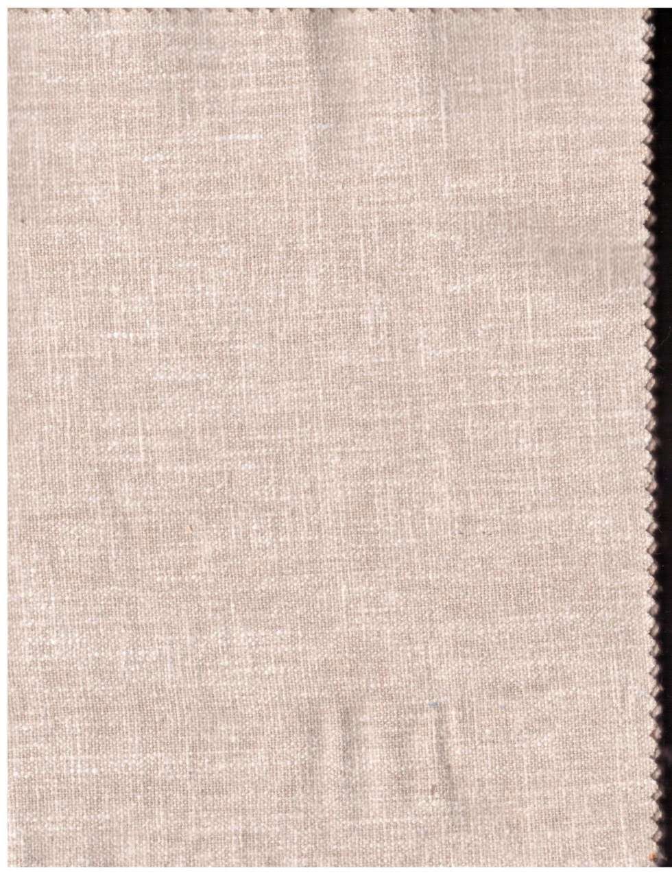 Shade 19