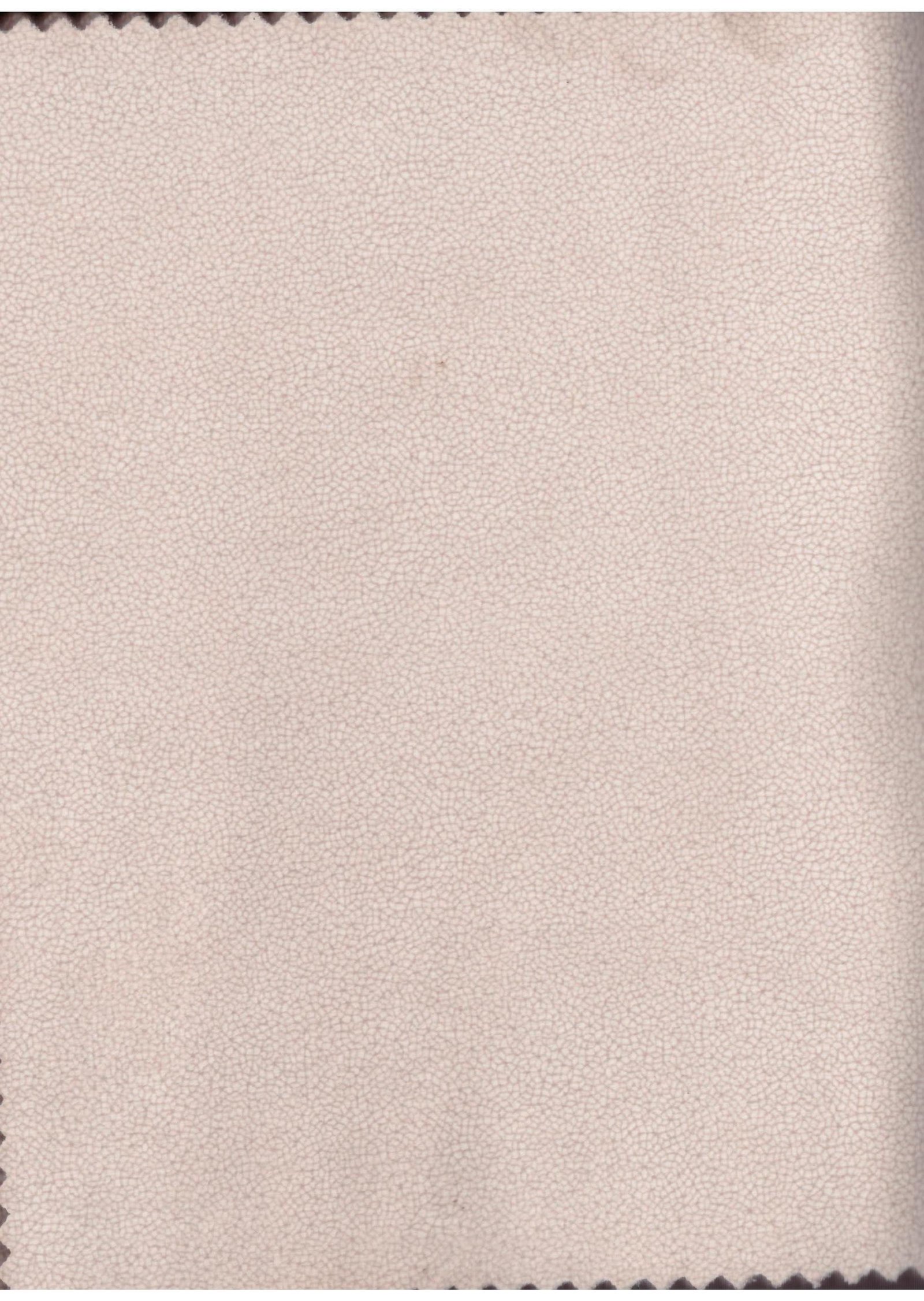 VENICE SUEDE 01