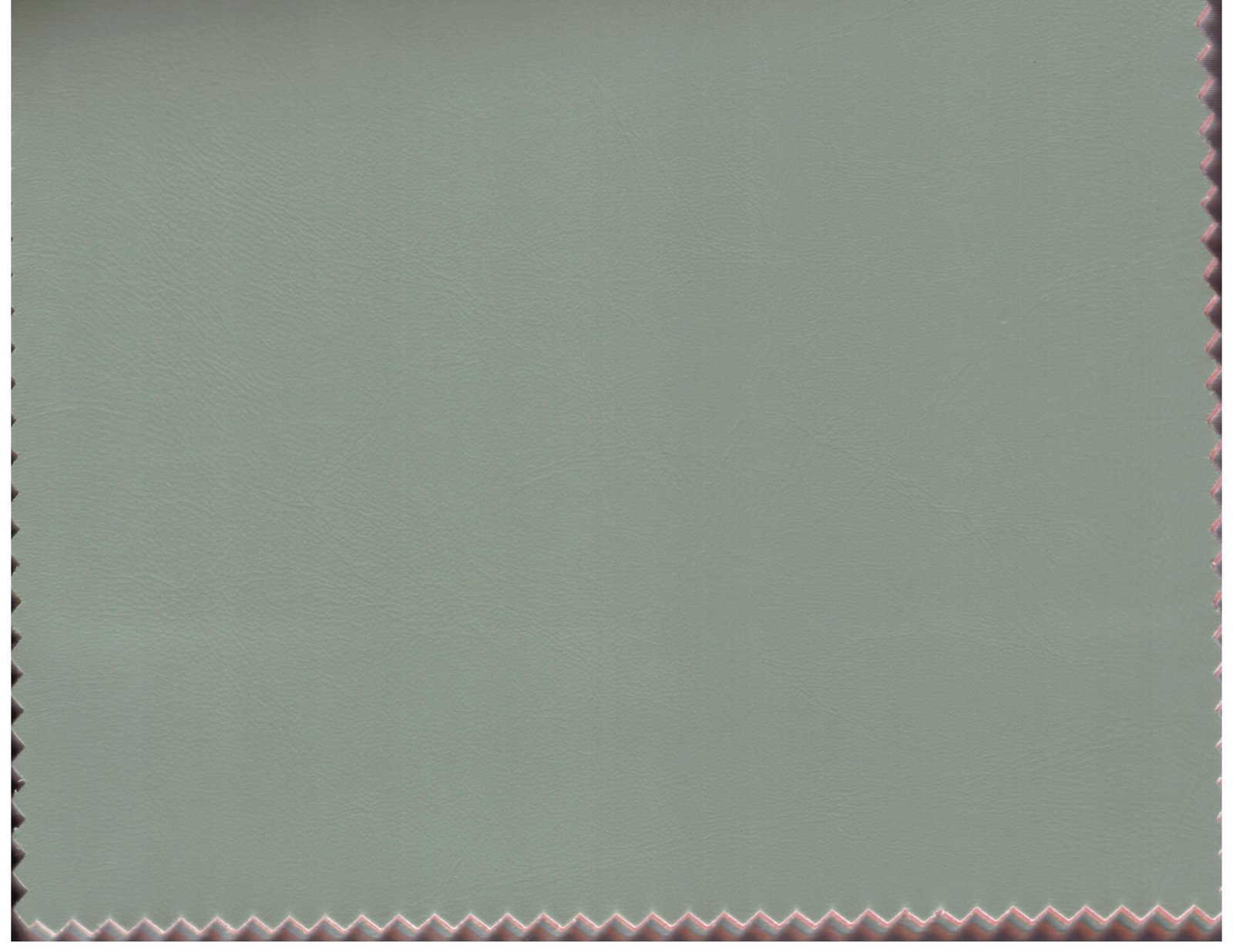 Shade 11
