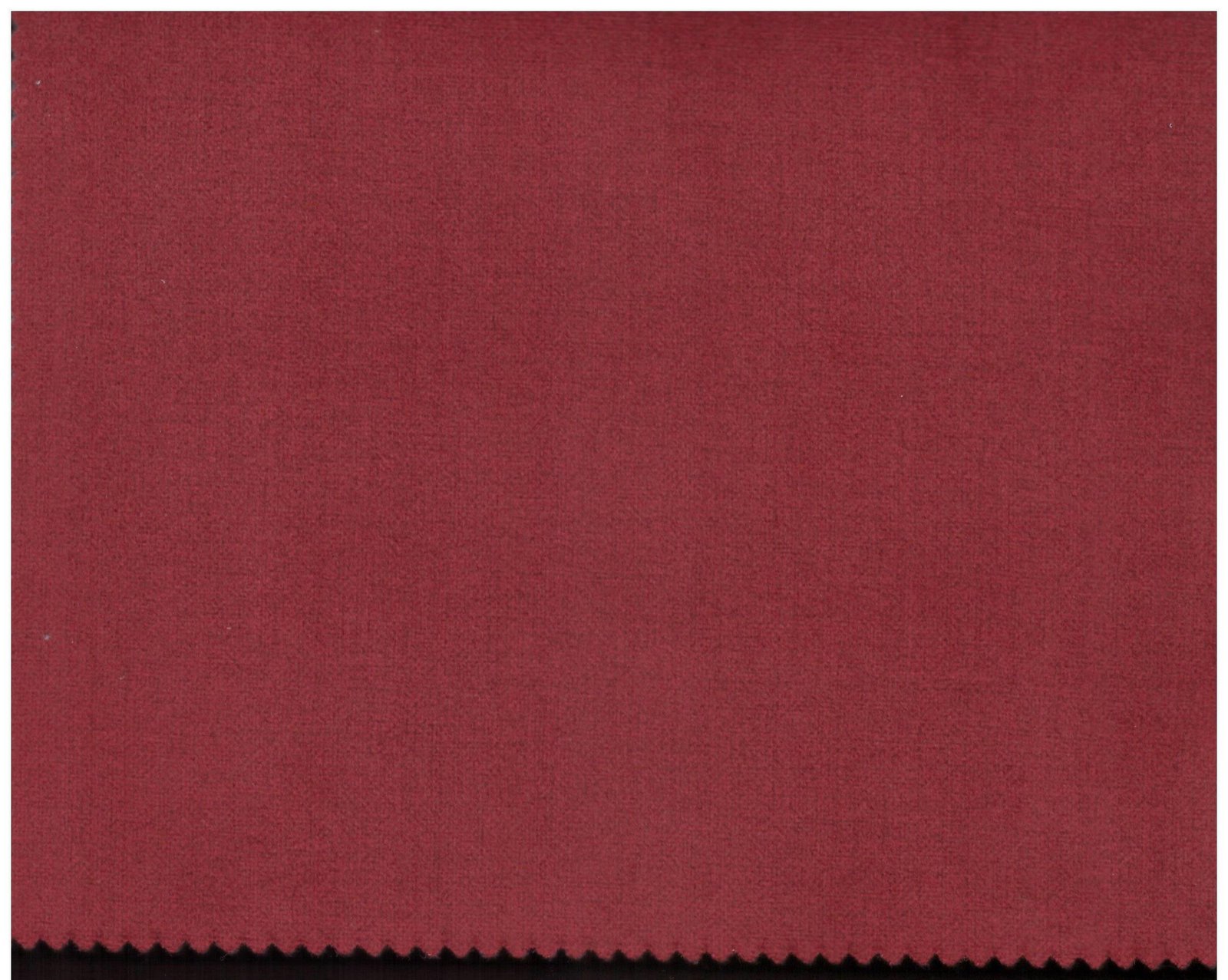 Shade 14