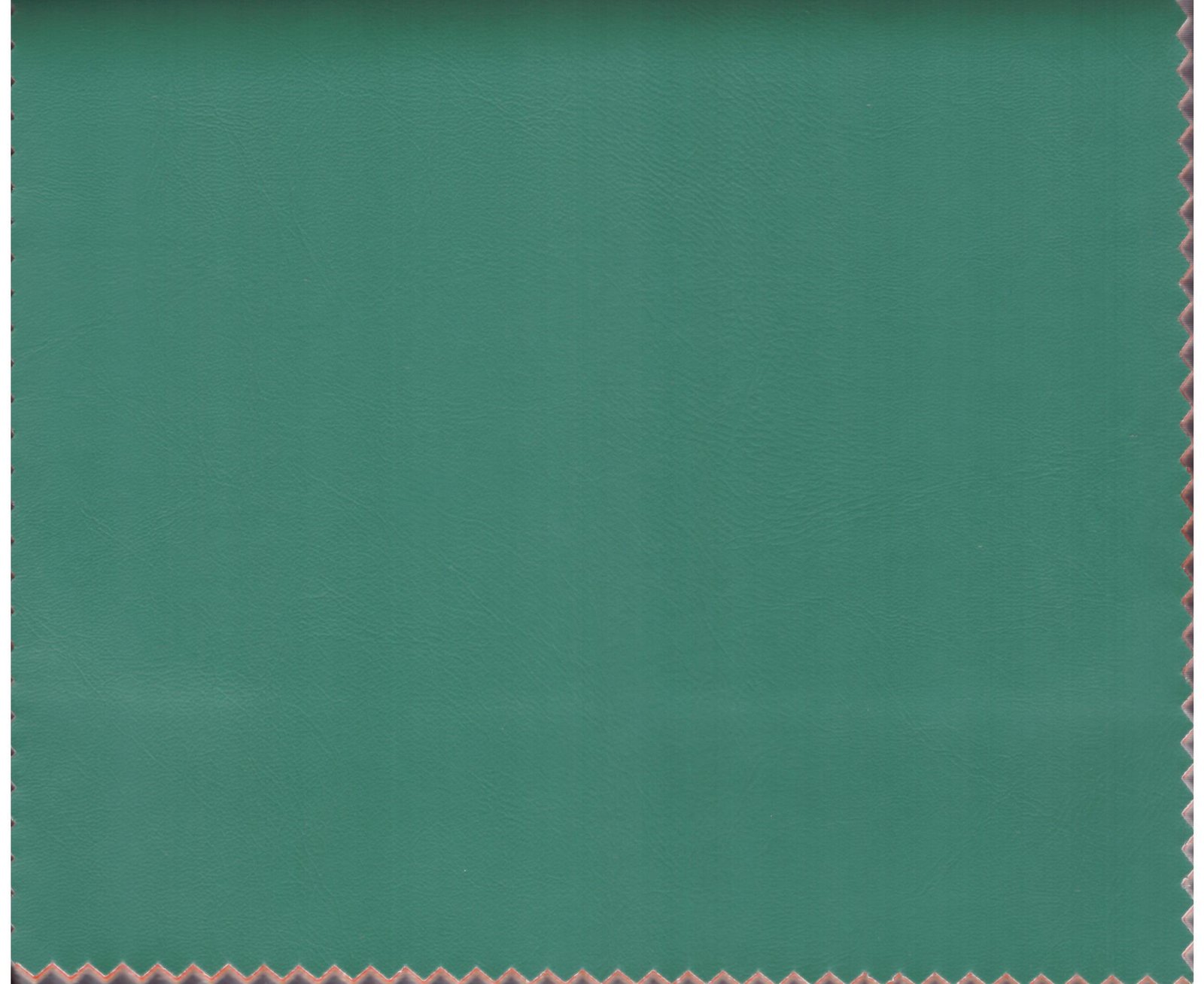Shade 15