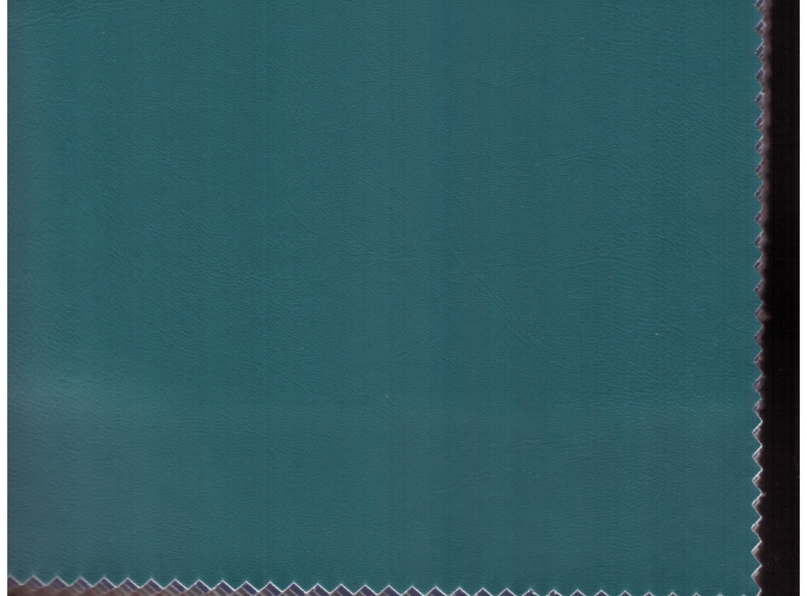 Shade 19