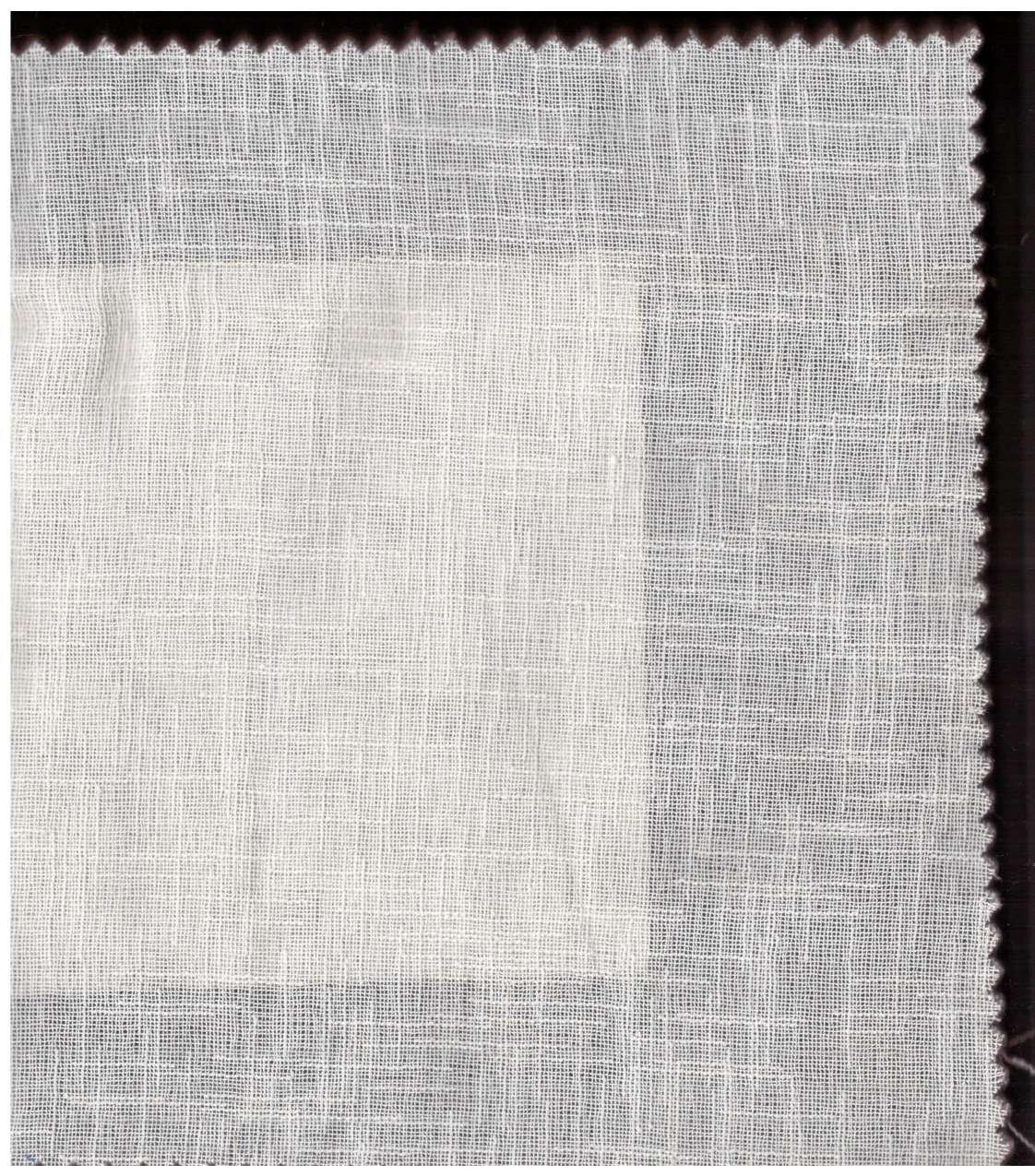 Shade 19